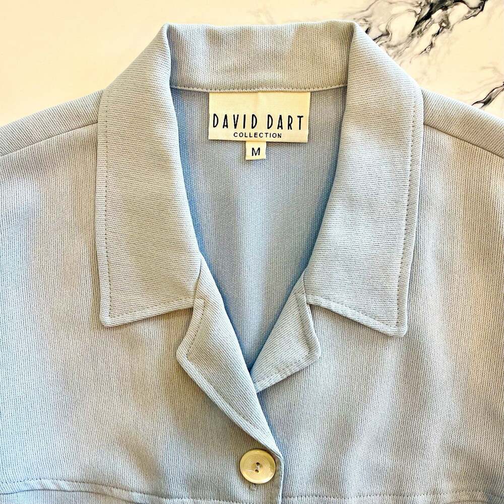 David Dart Collection Vintage 1990’s Womens Light Blue Button Collared Jacket M